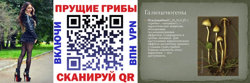 Купить  Пучеж  Псилоцибиновые грибы GOLDEN TEACHER 